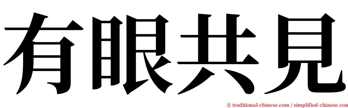 有眼共見 serif font