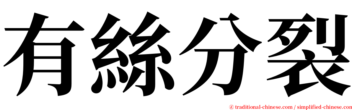 有絲分裂 serif font