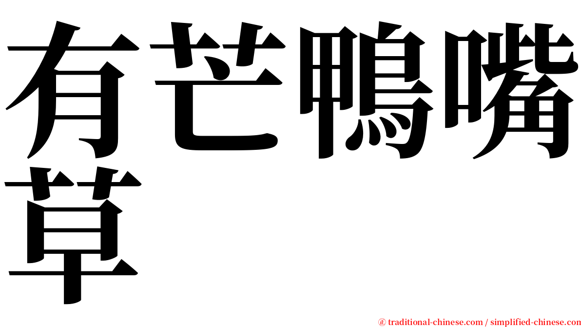 有芒鴨嘴草 serif font