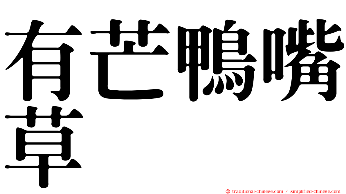 有芒鴨嘴草