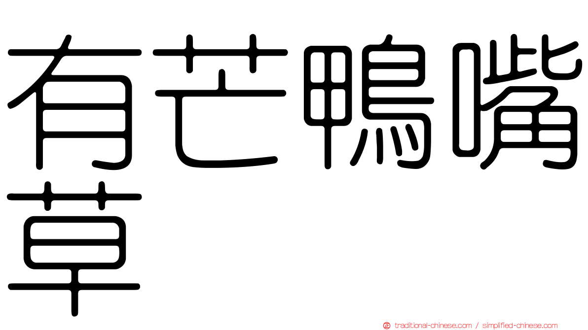有芒鴨嘴草