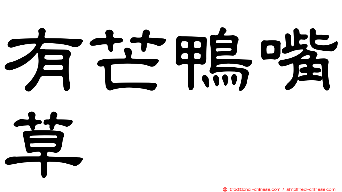 有芒鴨嘴草
