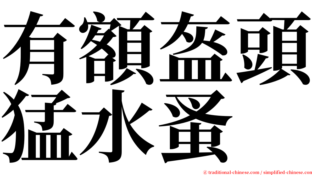 有額盔頭猛水蚤 serif font