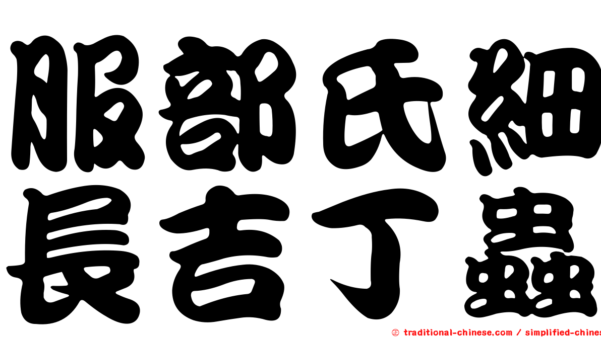 服部氏細長吉丁蟲