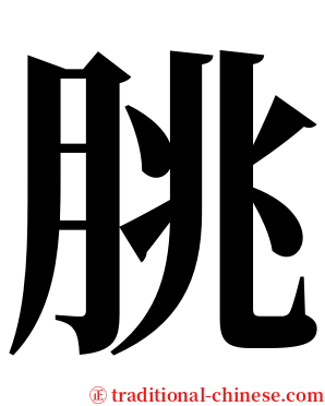 朓 serif font