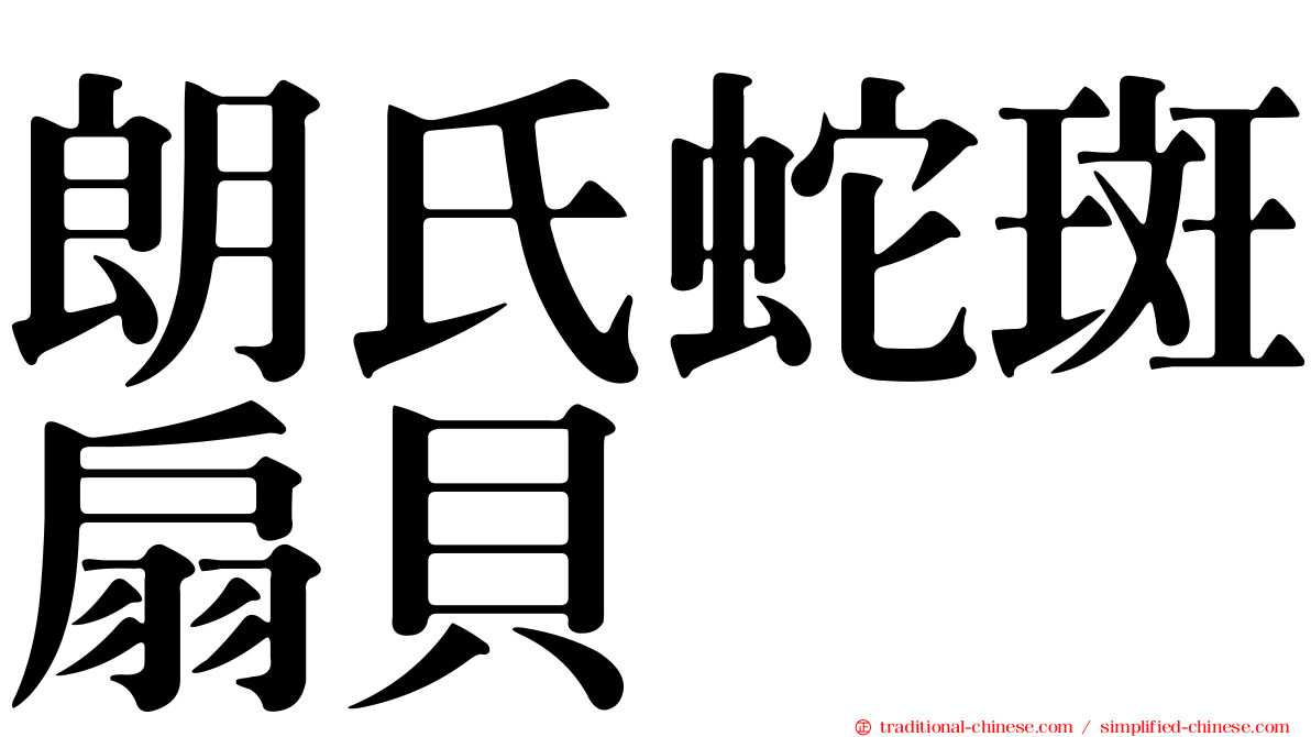 朗氏蛇斑扇貝