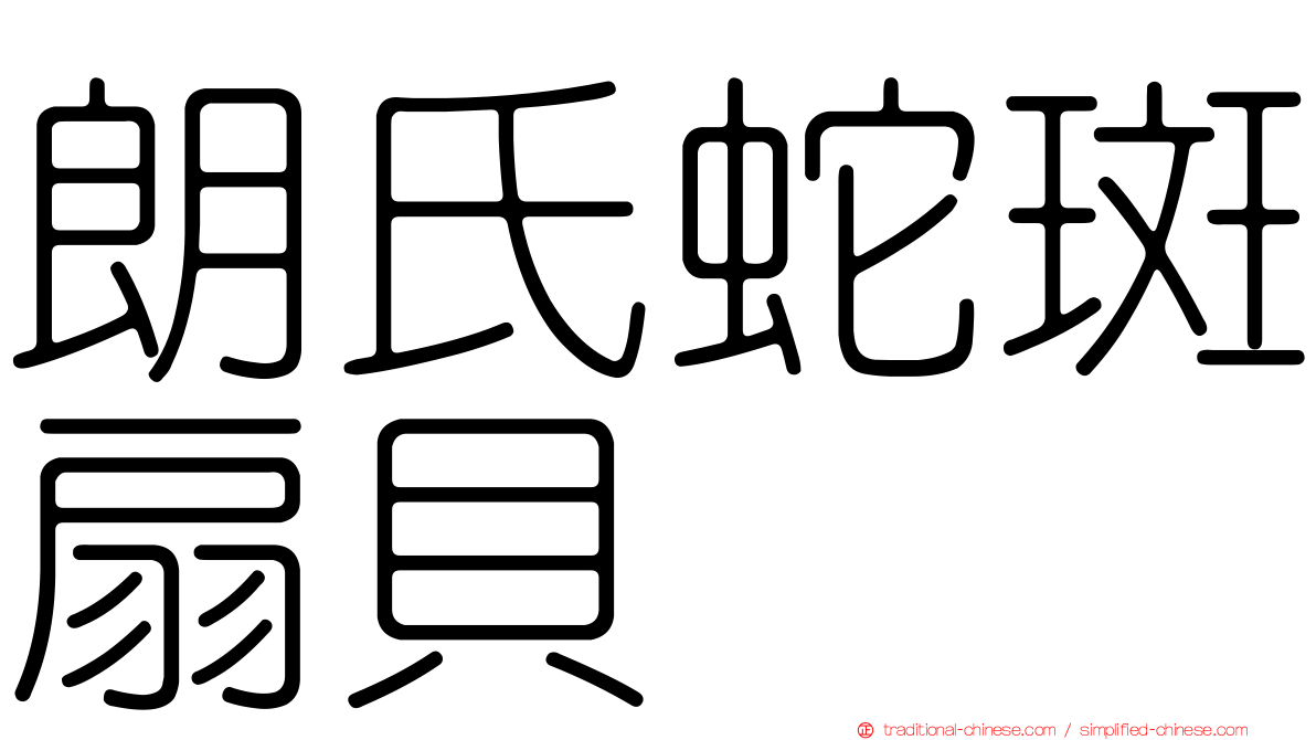 朗氏蛇斑扇貝