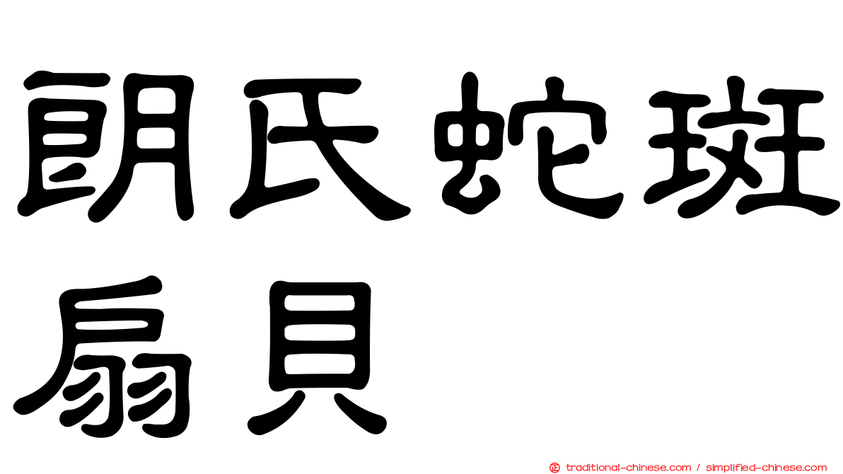 朗氏蛇斑扇貝