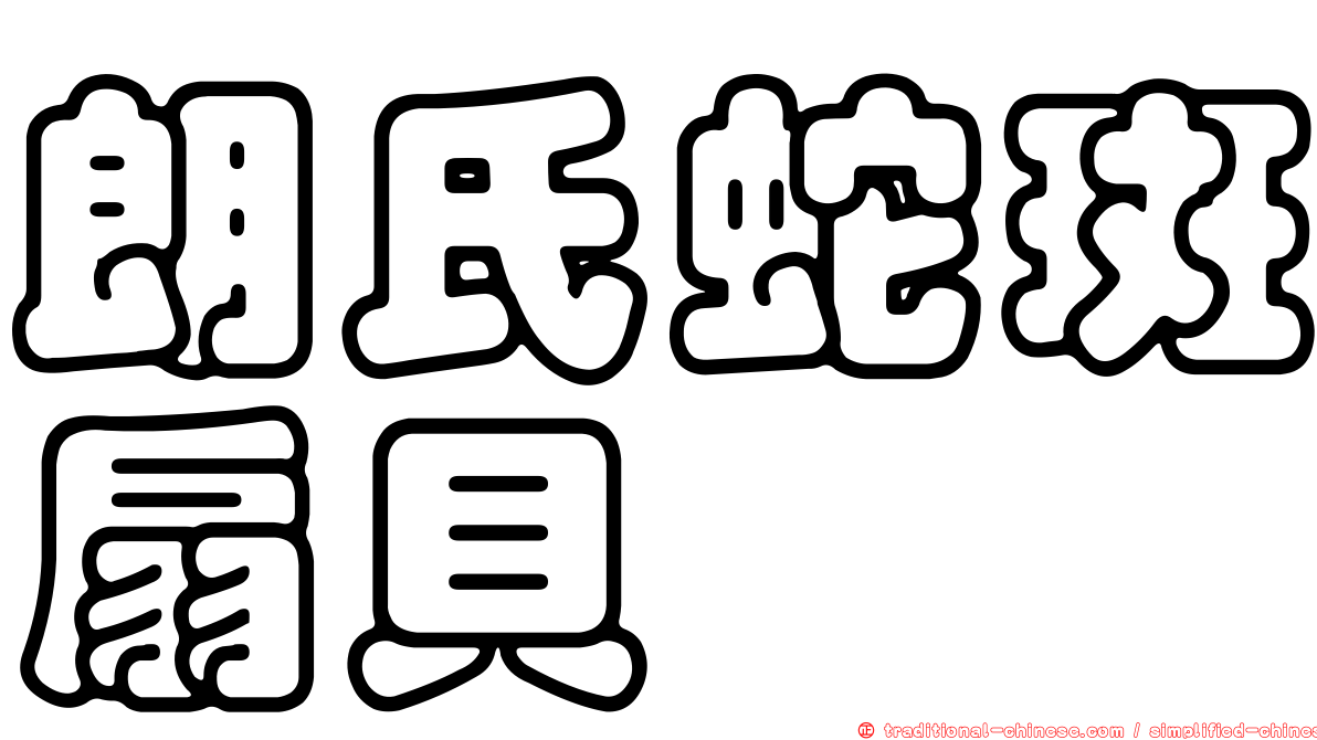 朗氏蛇斑扇貝