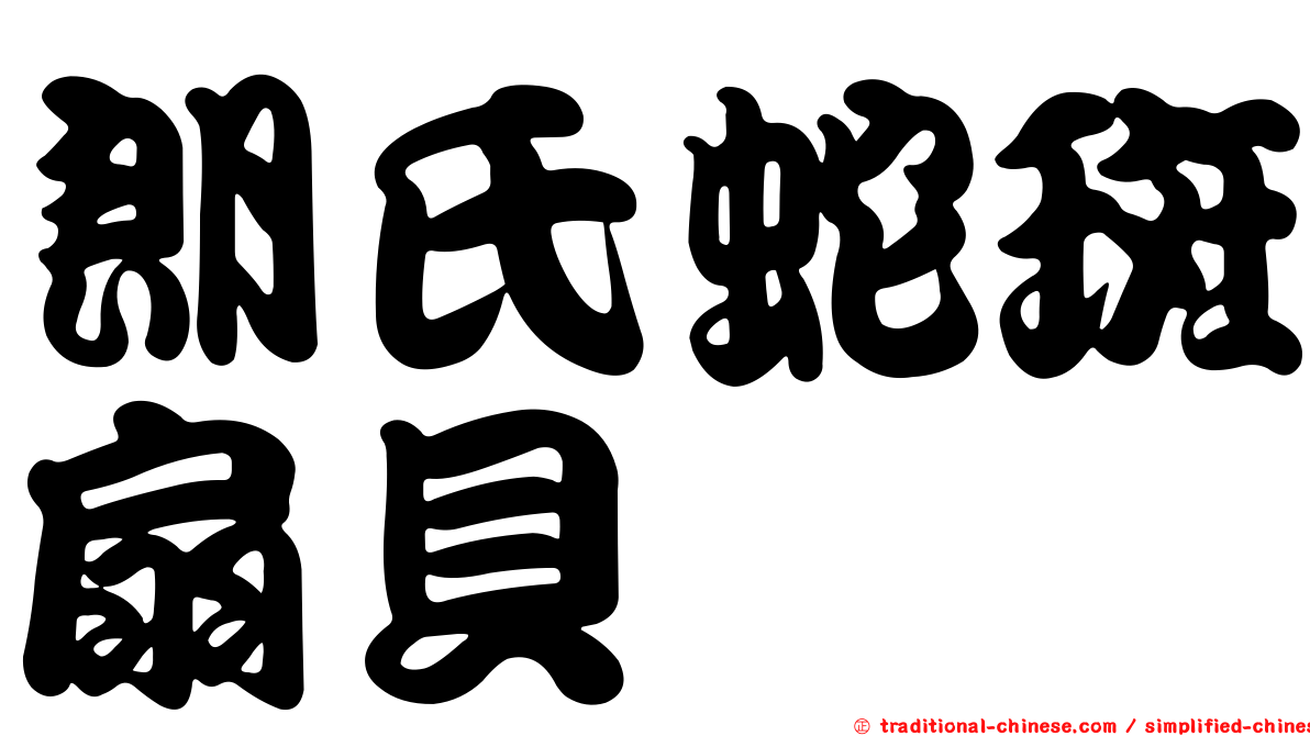 朗氏蛇斑扇貝