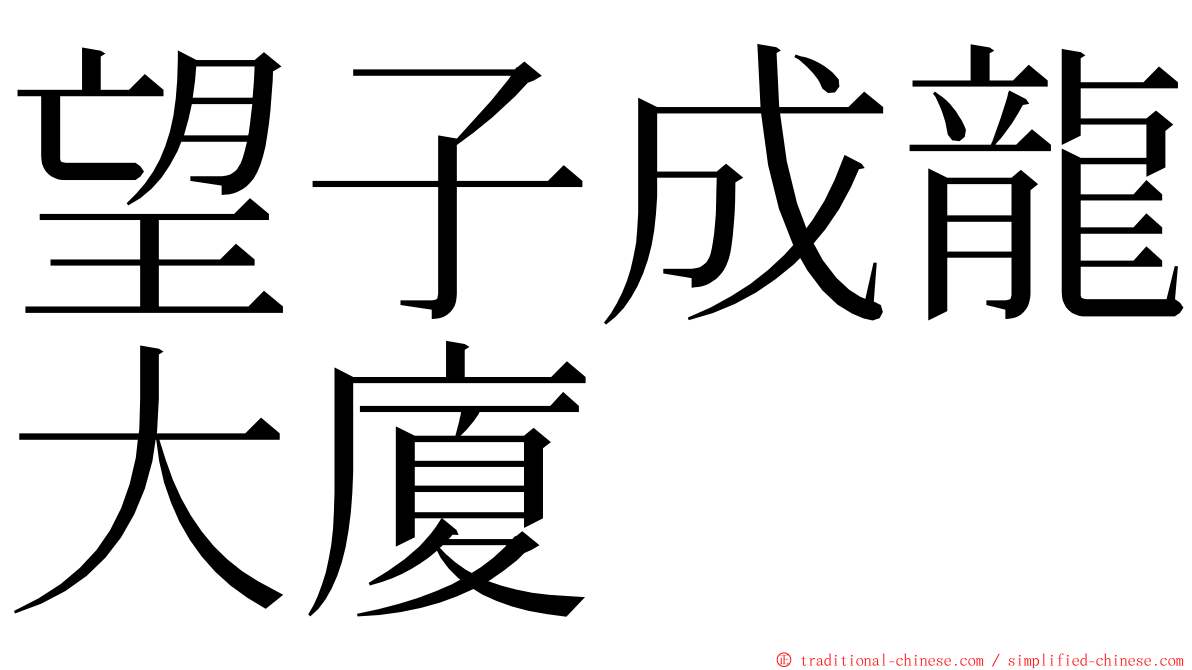 望子成龍大廈 ming font