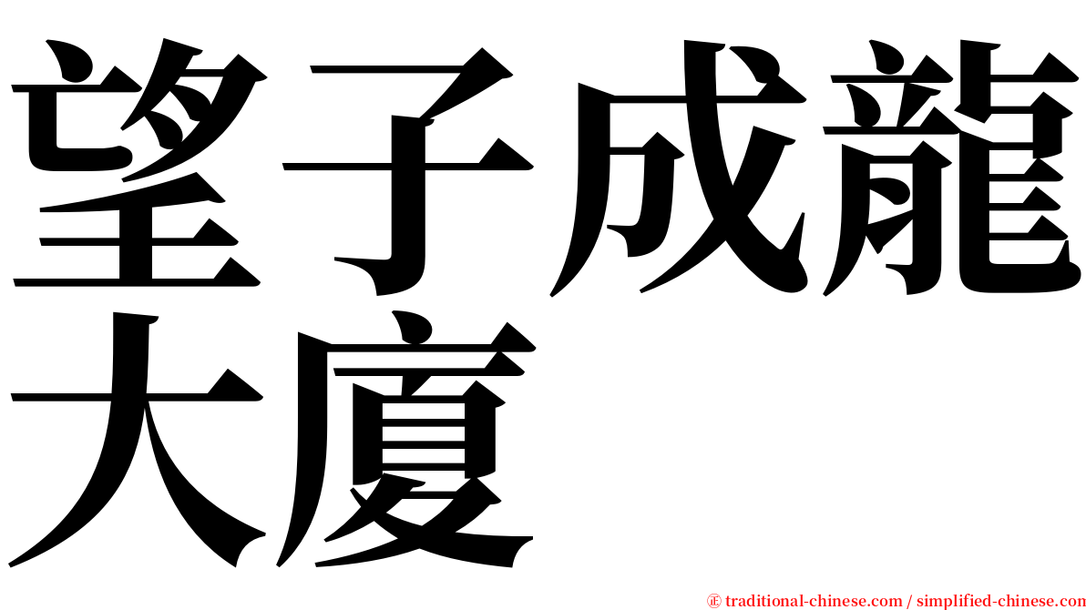 望子成龍大廈 serif font