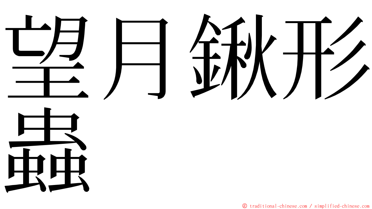 望月鍬形蟲 ming font