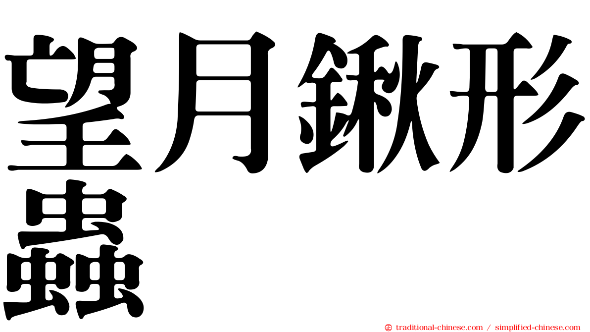 望月鍬形蟲