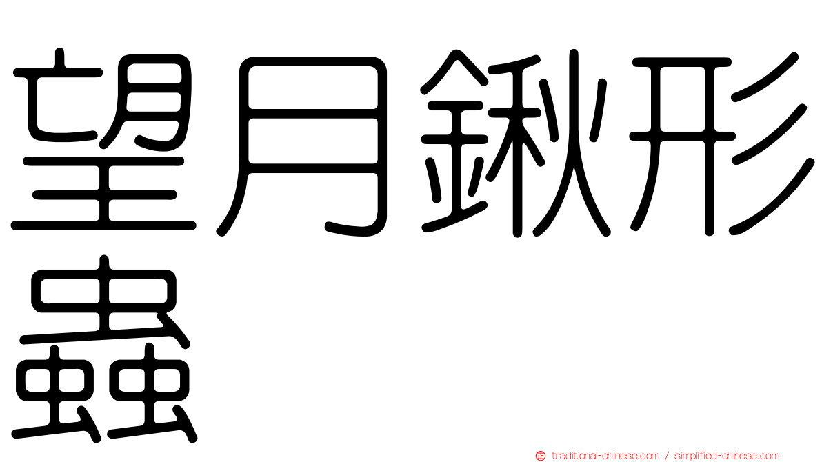 望月鍬形蟲
