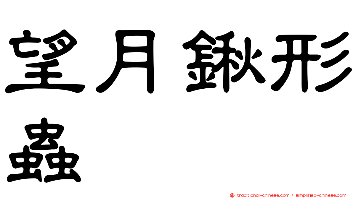 望月鍬形蟲