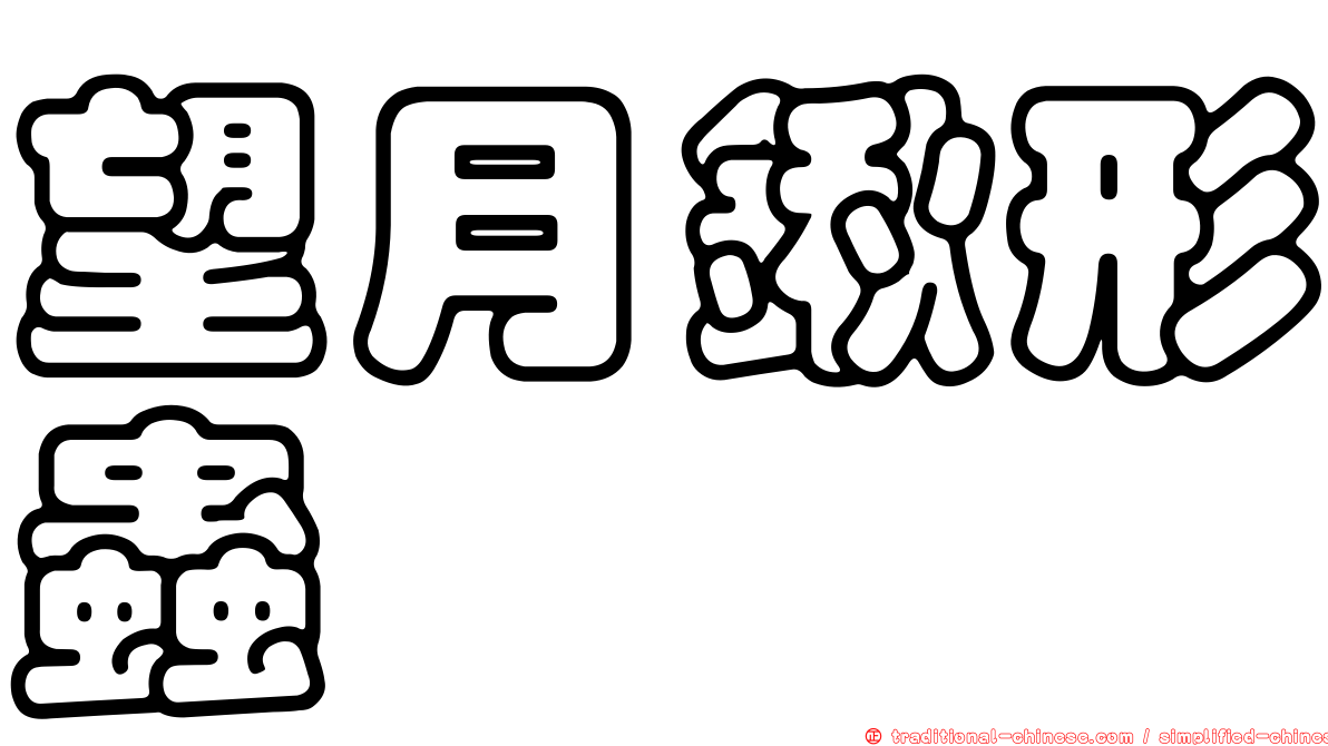 望月鍬形蟲