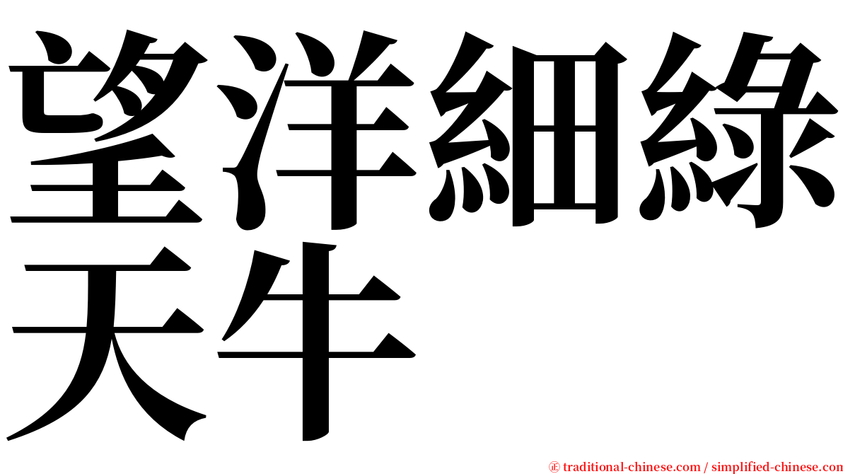 望洋細綠天牛 serif font