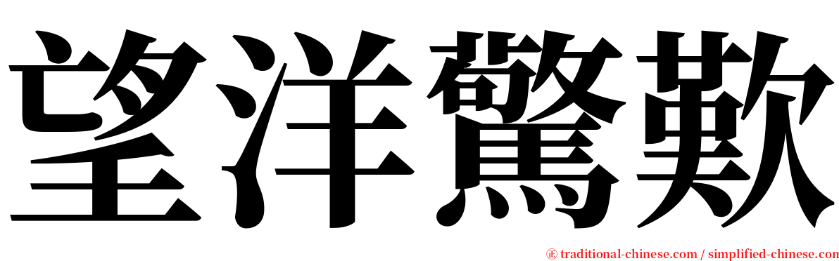 望洋驚歎 serif font