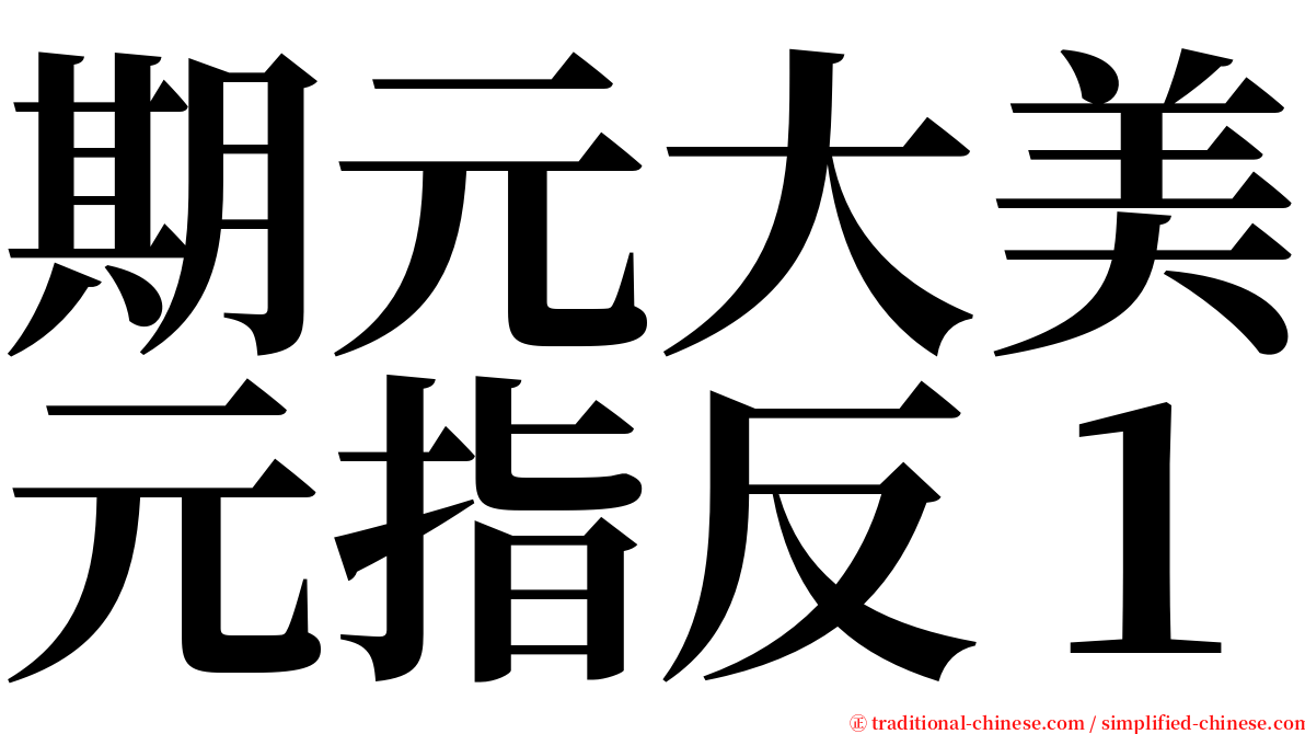 期元大美元指反１ serif font