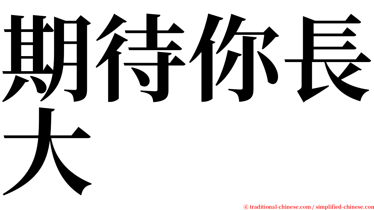 期待你長大 serif font