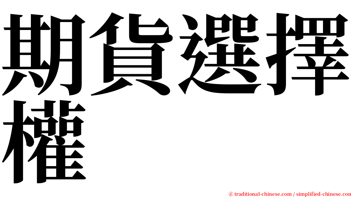 期貨選擇權 serif font