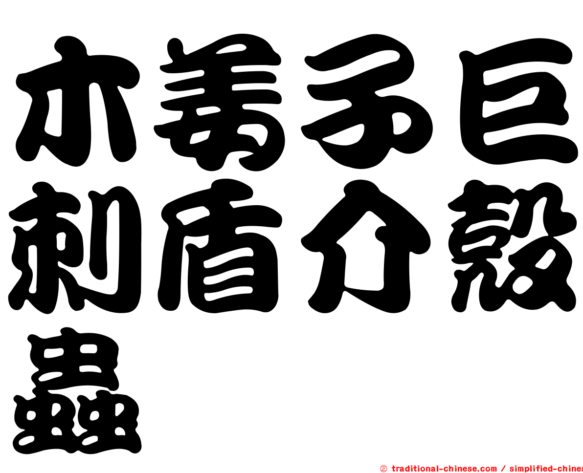 木姜子巨刺盾介殼蟲