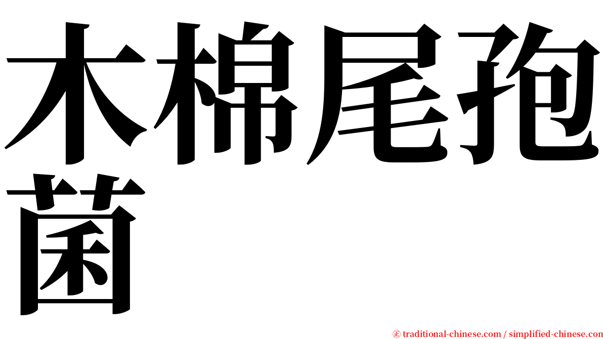 木棉尾孢菌 serif font