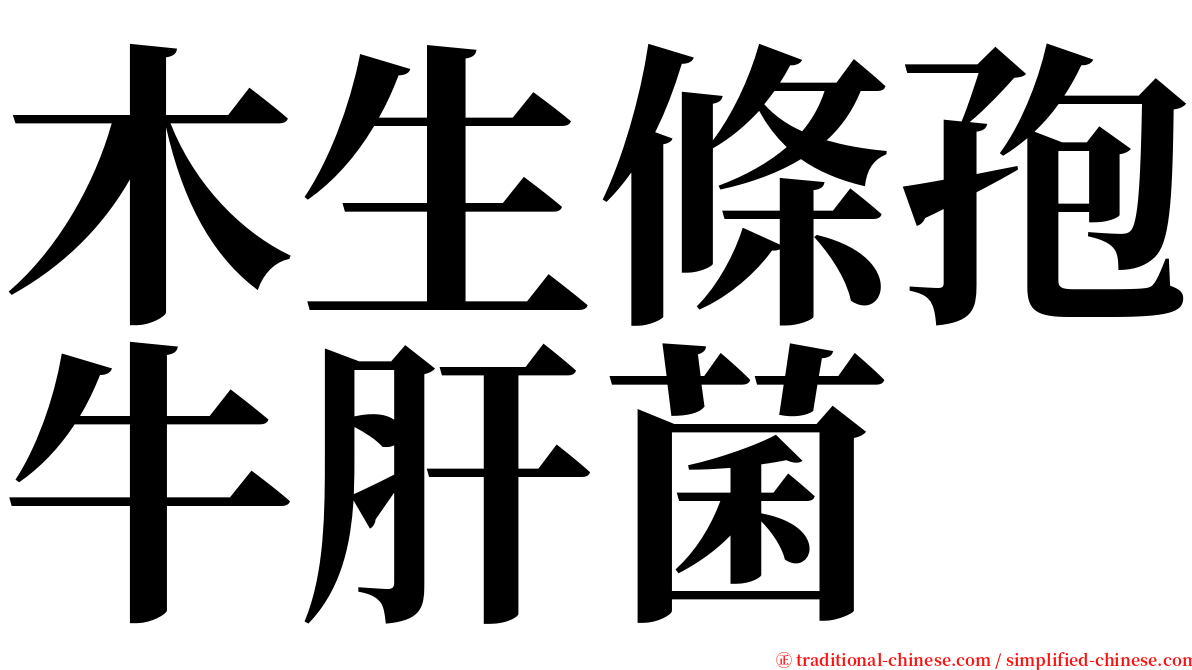 木生條孢牛肝菌 serif font