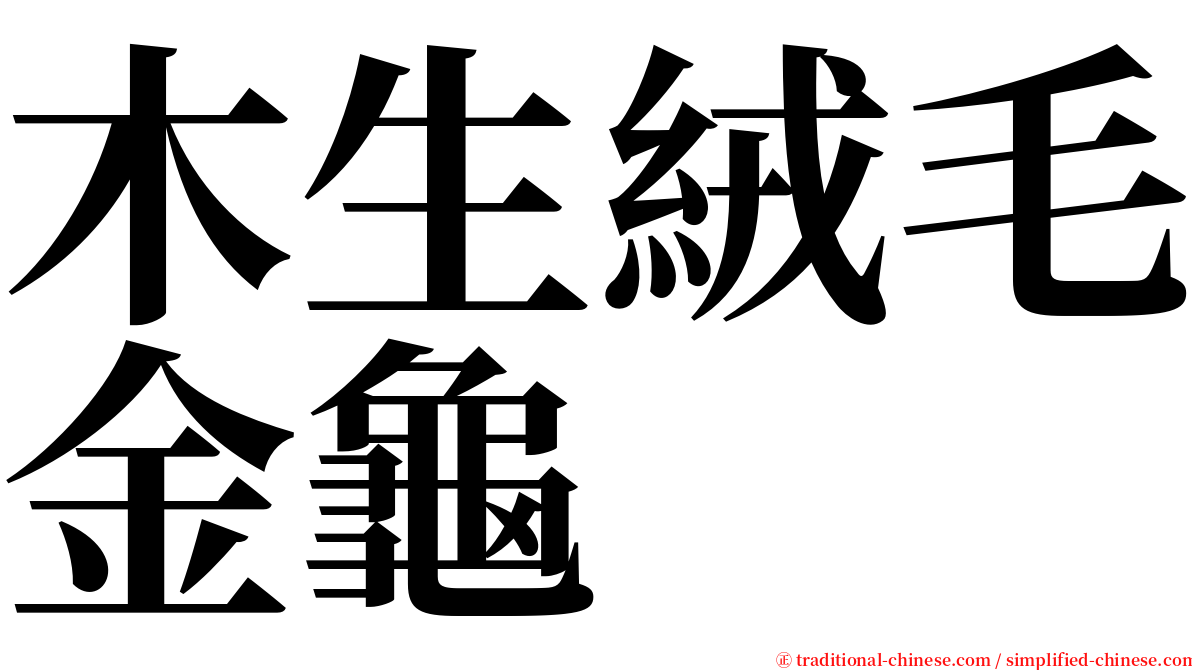 木生絨毛金龜 serif font