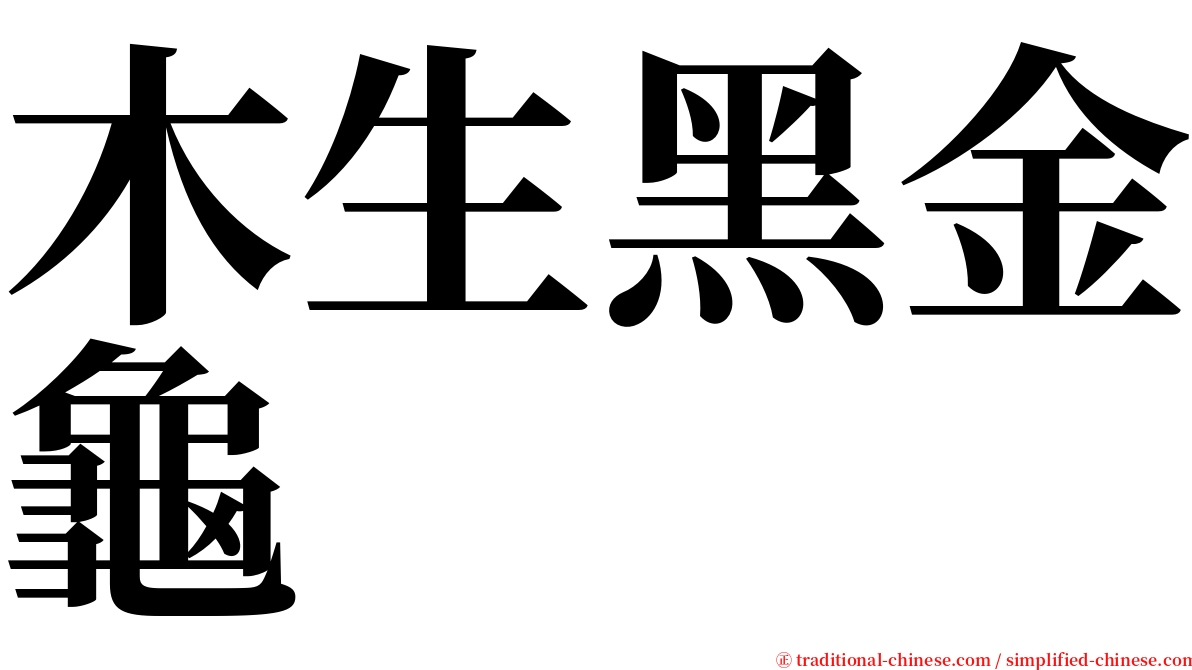 木生黑金龜 serif font