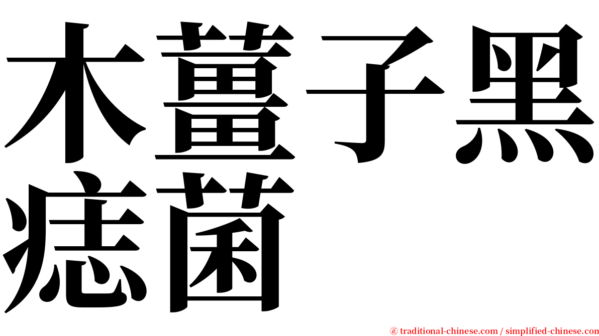 木薑子黑痣菌 serif font