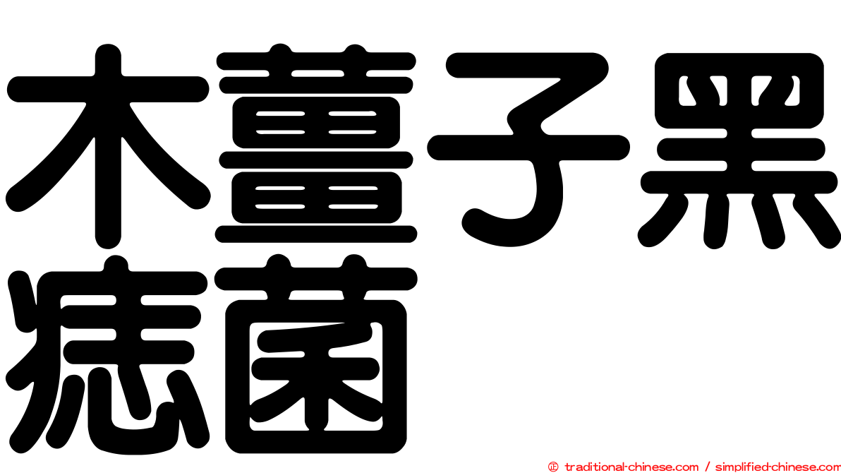 木薑子黑痣菌