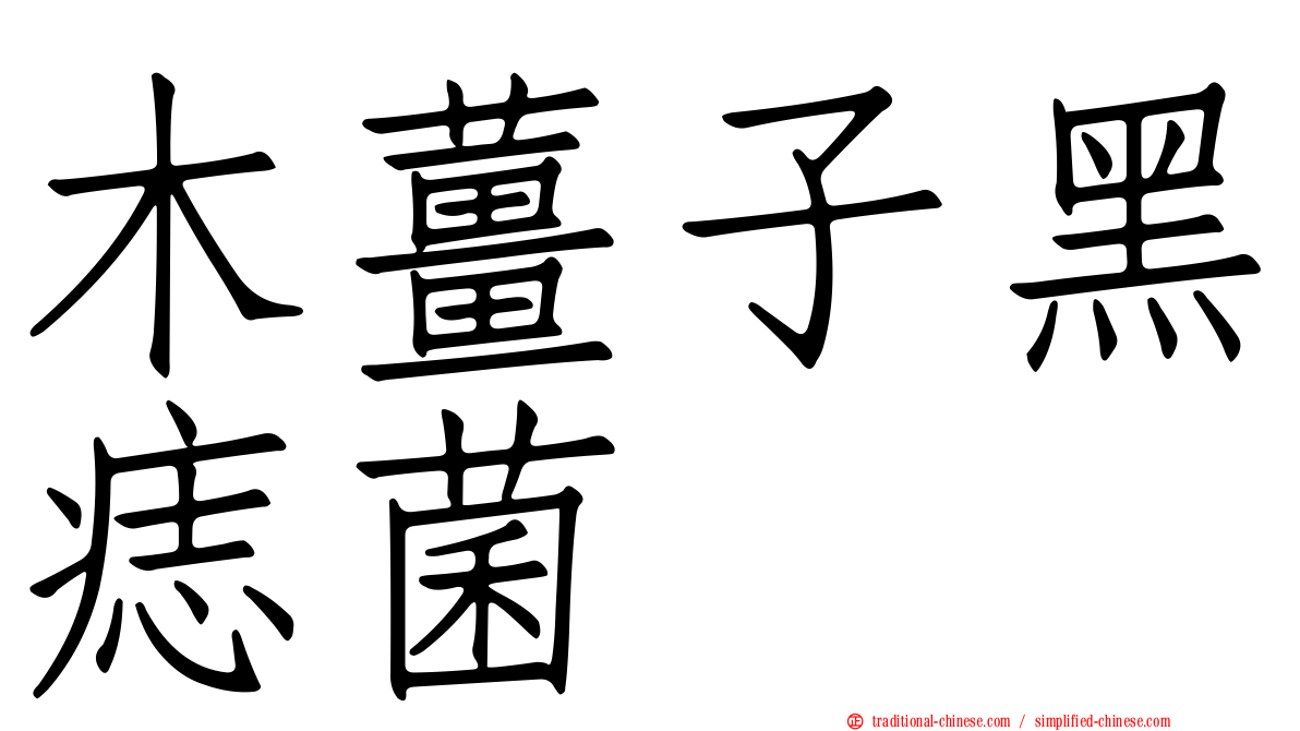 木薑子黑痣菌