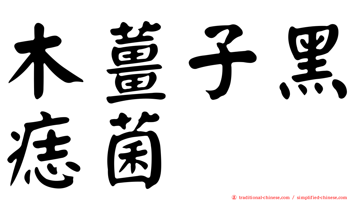 木薑子黑痣菌