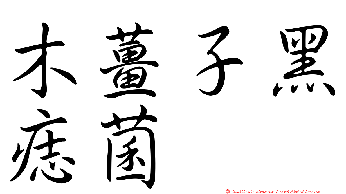 木薑子黑痣菌