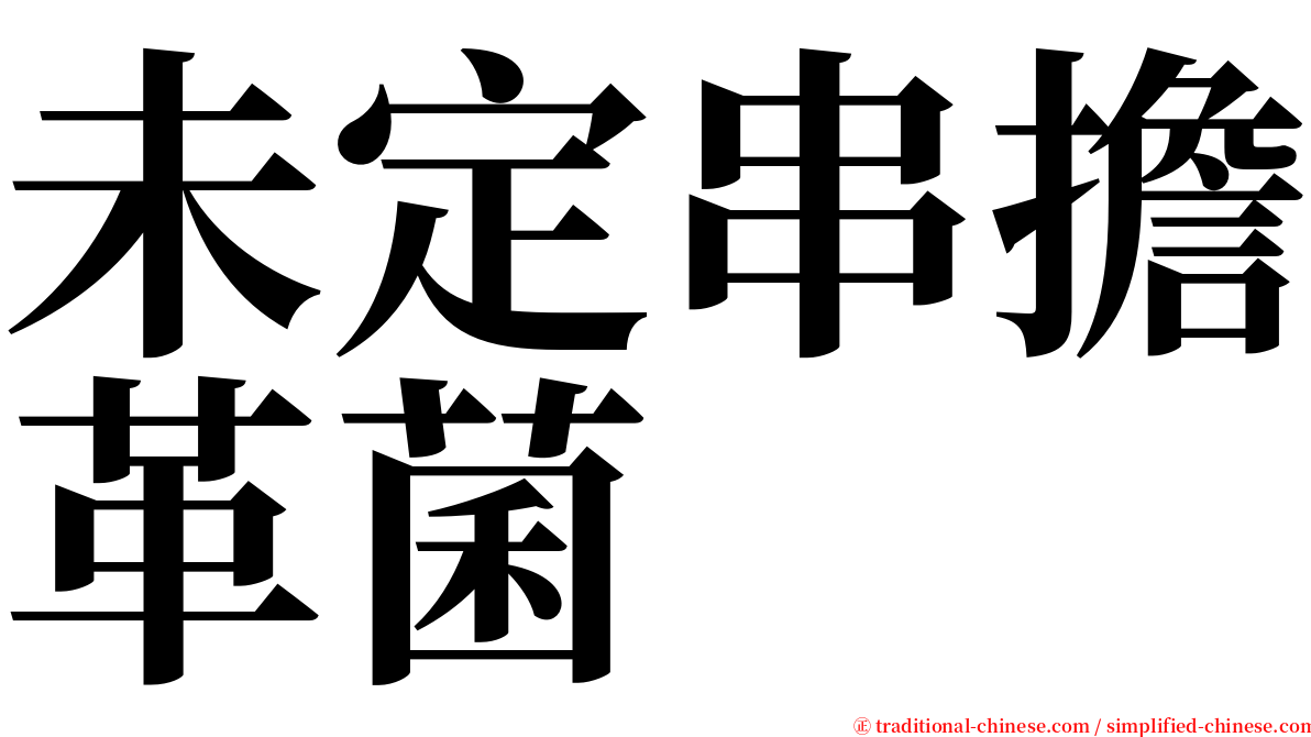 未定串擔革菌 serif font