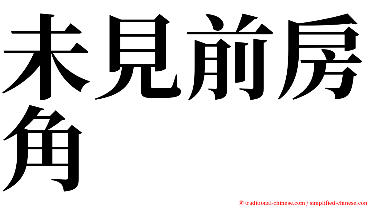 未見前房角 serif font