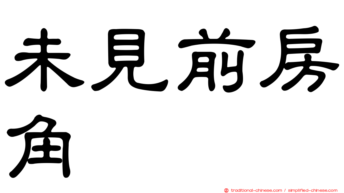 未見前房角