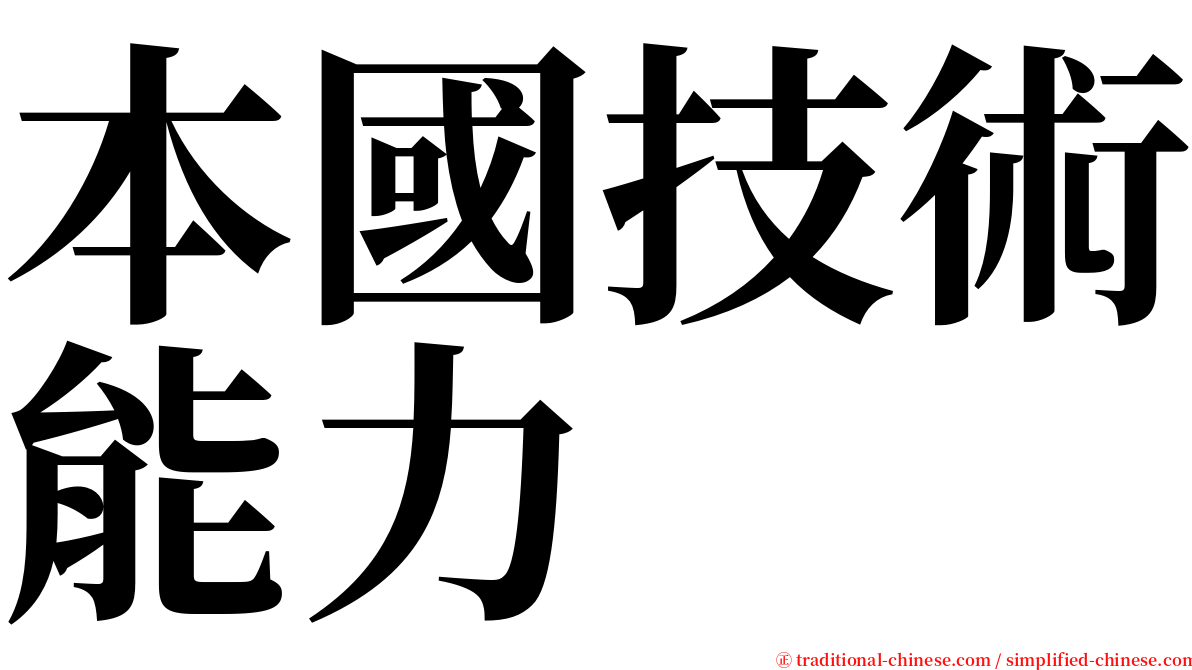 本國技術能力 serif font