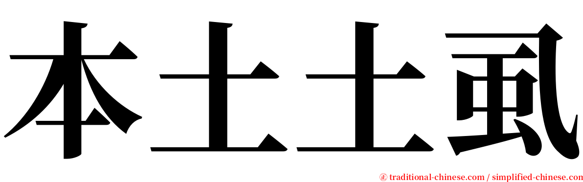 本土土虱 serif font