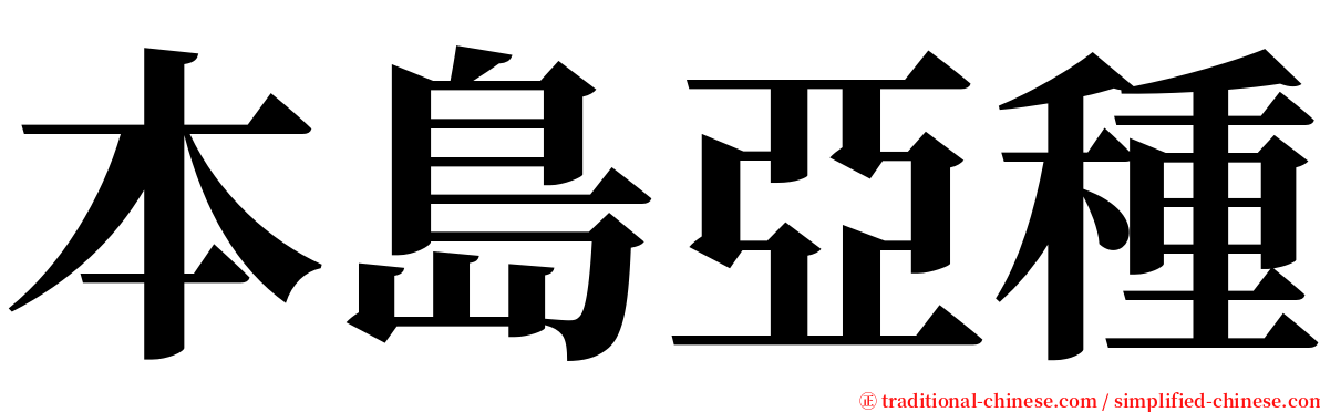 本島亞種 serif font