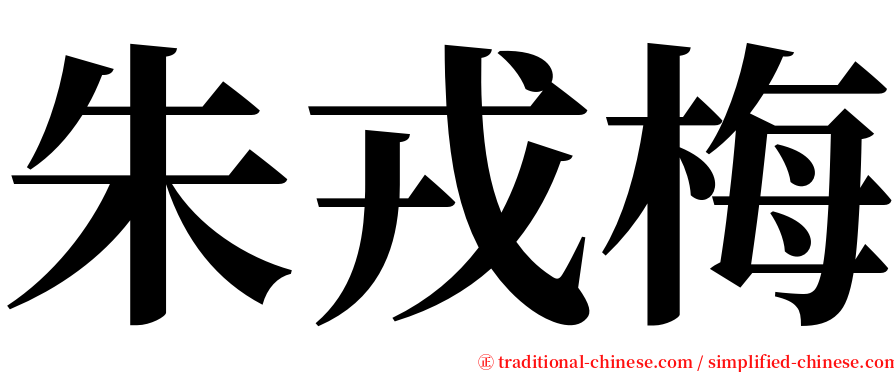 朱戎梅 serif font