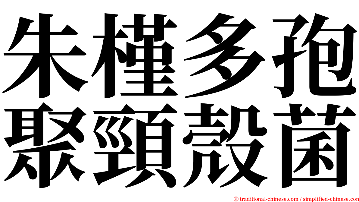 朱槿多孢聚頸殼菌 serif font