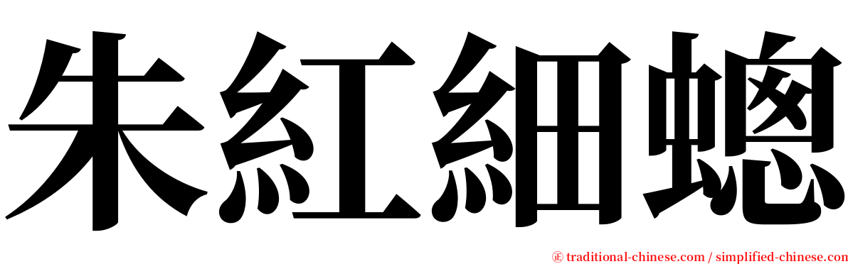 朱紅細蟌 serif font