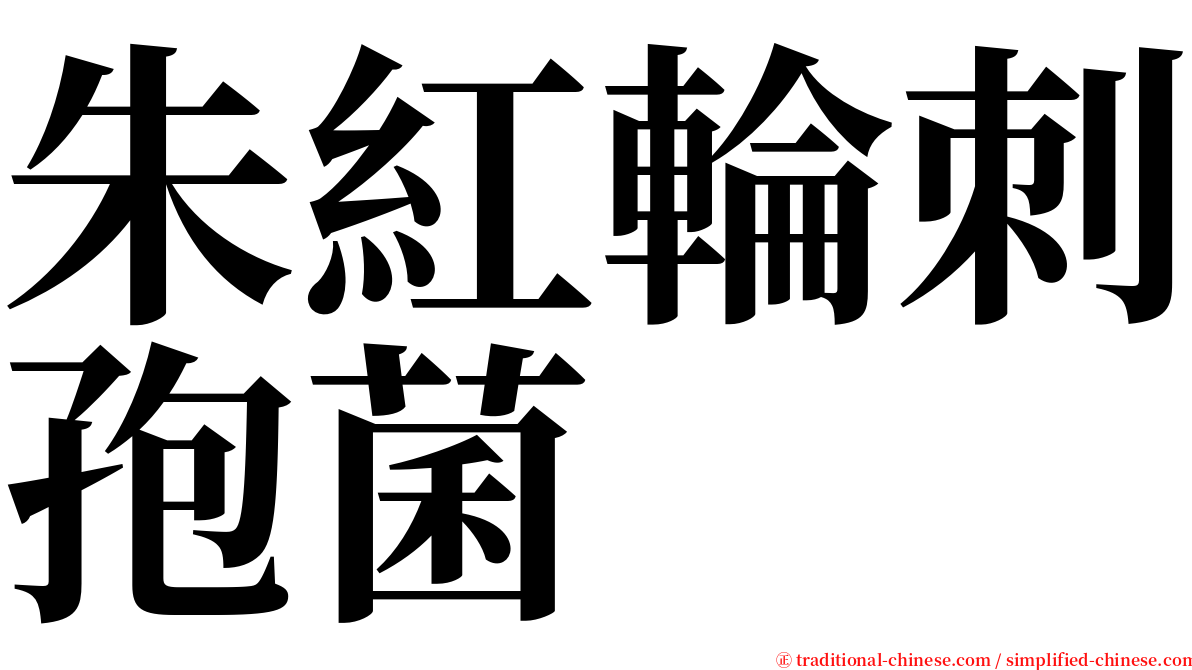 朱紅輪刺孢菌 serif font