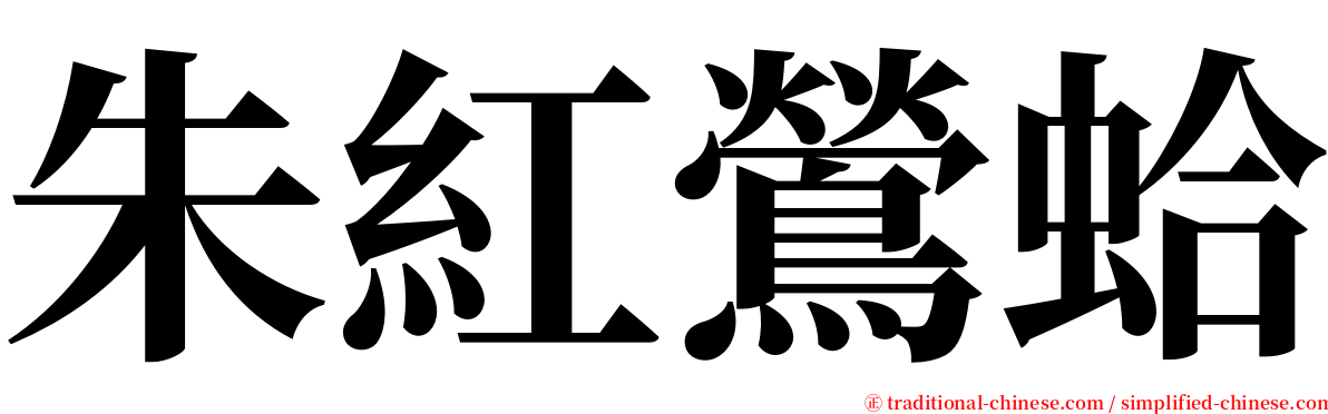 朱紅鶯蛤 serif font