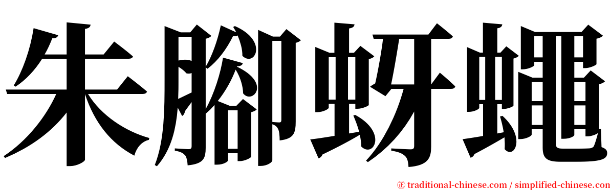 朱腳蚜蠅 serif font