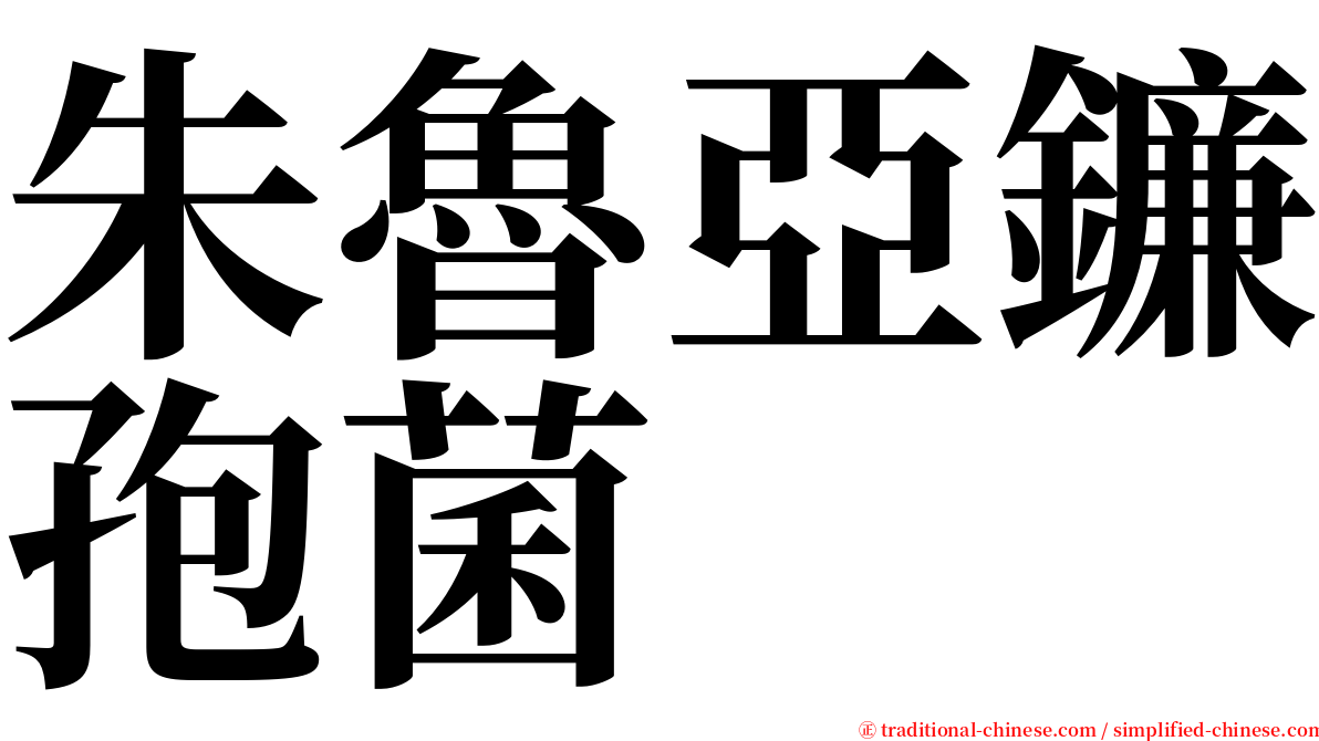 朱魯亞鐮孢菌 serif font