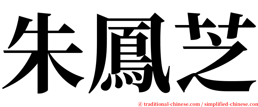 朱鳳芝 serif font